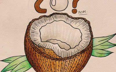 ¿Por qué el aceite de coco no es tan genial como parece?